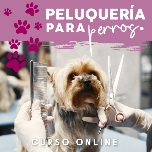 peluquería para perros